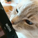 Image for article titled Step Aside, Jessica Chobot Licking A PSP. There's A New Scandalous Picture, And It Involves The Wii U.